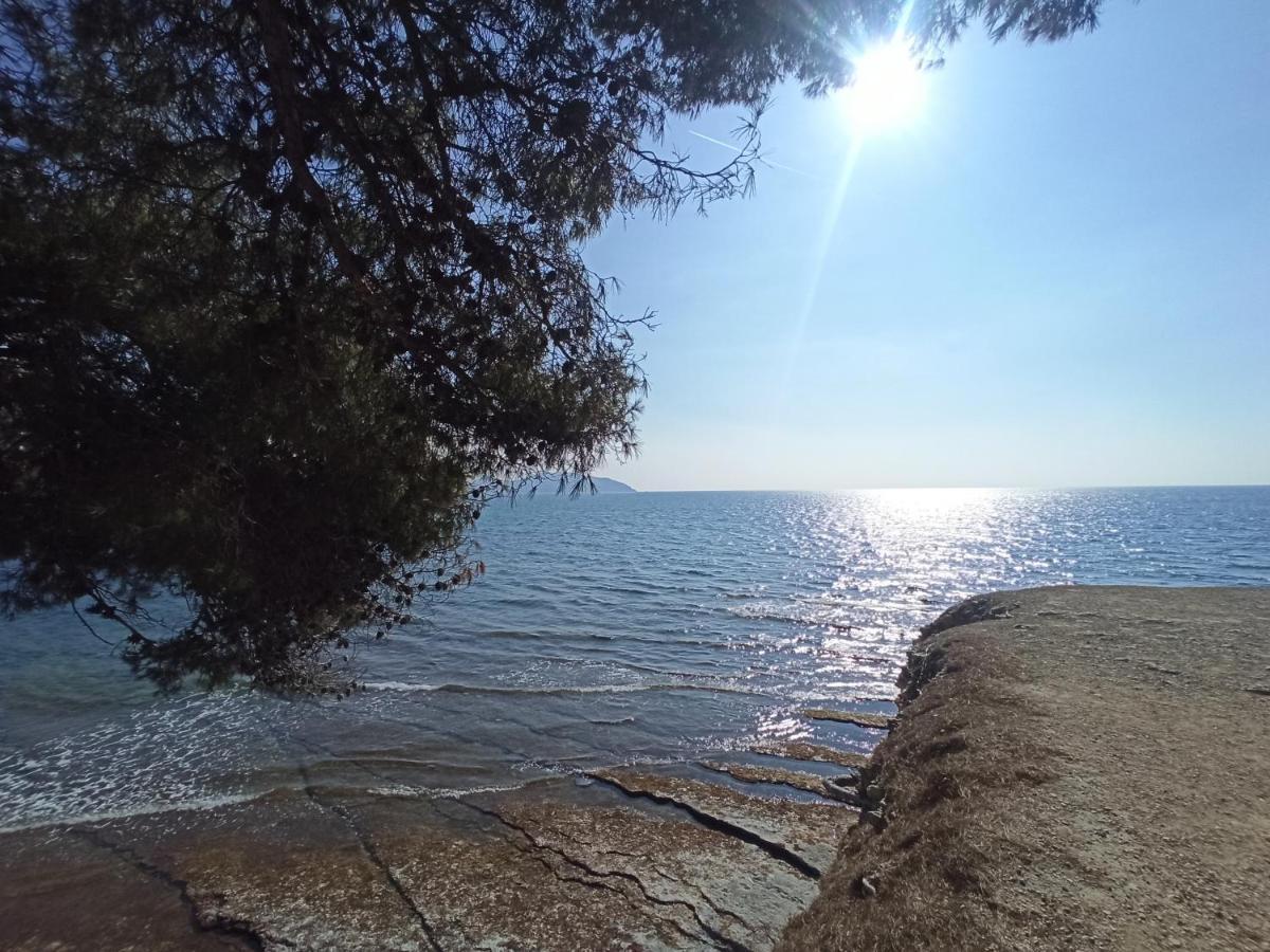 Ete Indien - Plage - Wifi - Host Provence Daire La Ciotat Dış mekan fotoğraf
