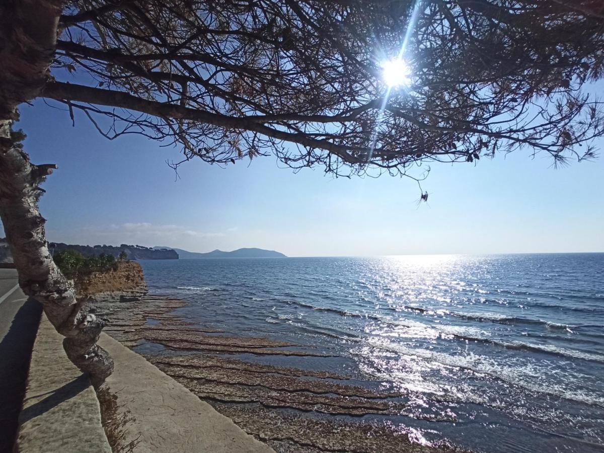 Ete Indien - Plage - Wifi - Host Provence Daire La Ciotat Dış mekan fotoğraf